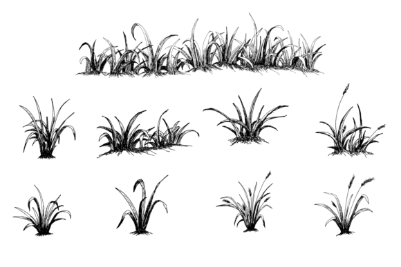 Download Hand Drawn Grass Illustration - Hand drawn grass Collection